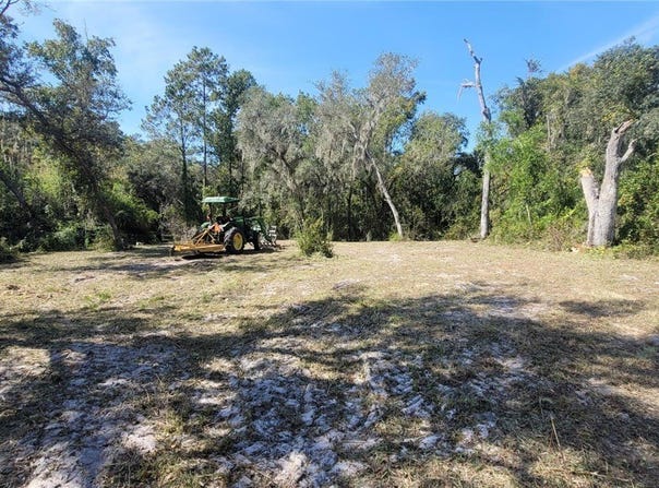 8115 Shasta Street, Webster, FL 33597