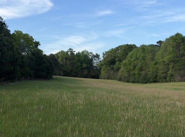 27.74 Acre Highway 13, Lumberton, MS 39455