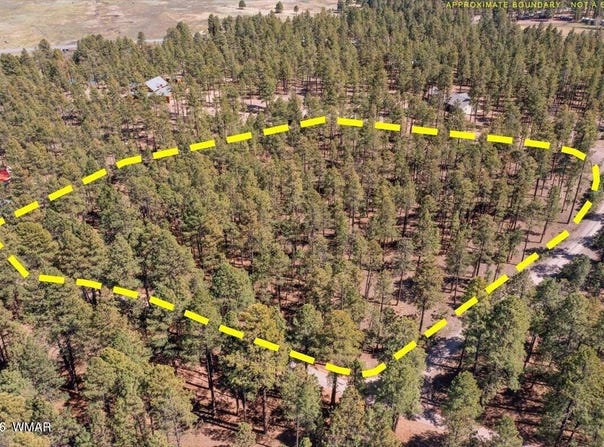 County Road 2325, Alpine, AZ 85920