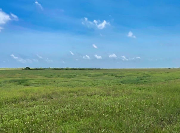 Lot 2 Chambliss Rd, Sargent, TX 77414