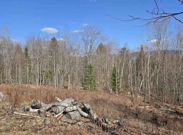 Cates Hill Road, Berlin, NH 03570