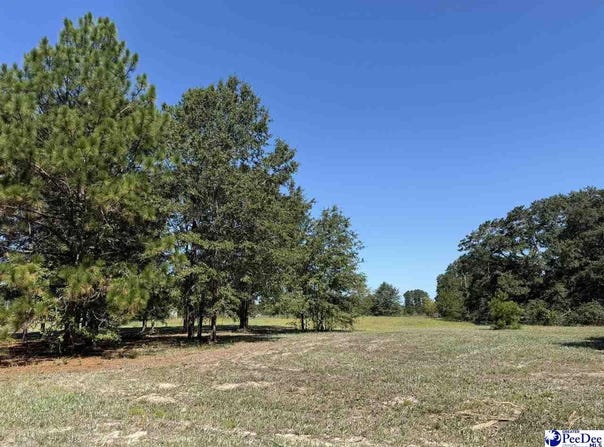 Isaiah Drive lot: 5, Dillon, SC 29536