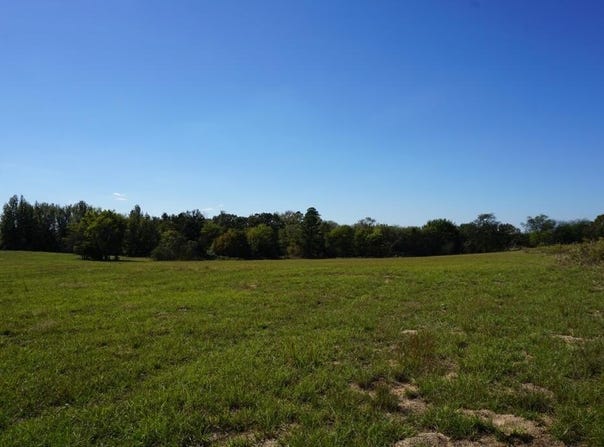 cr4301 Plainview Dr, Naples, TX 75568
