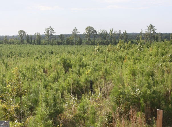 Balerma Church Road, Sparta, GA 31087