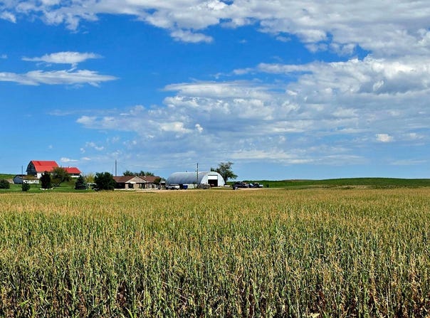 1425 CR 61, Potter, NE 69156