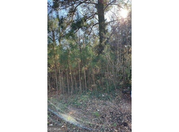 1104 E 8th Street, West Point, GA 31833