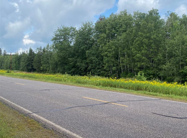 On County Highway E, Park Falls, WI 54552