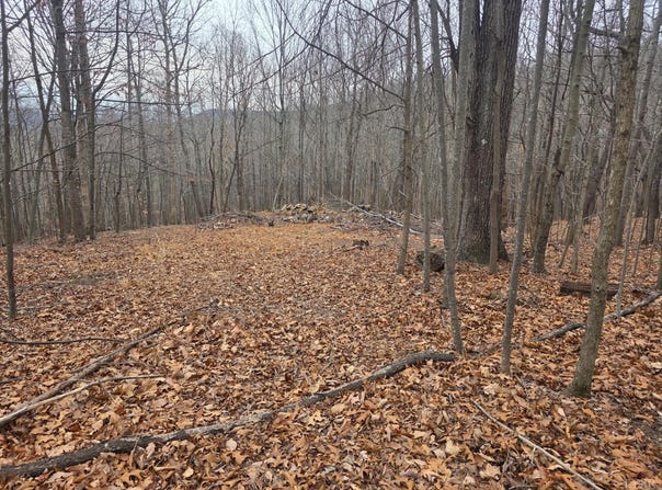 Hickory Falls Road, Blue Ridge, VA 24064