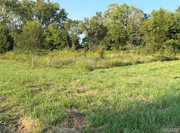 475 County Road 157, Des Arc, MO 63636