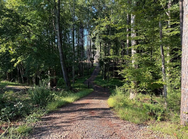Gum Tree Rd, Orange, VA 22960