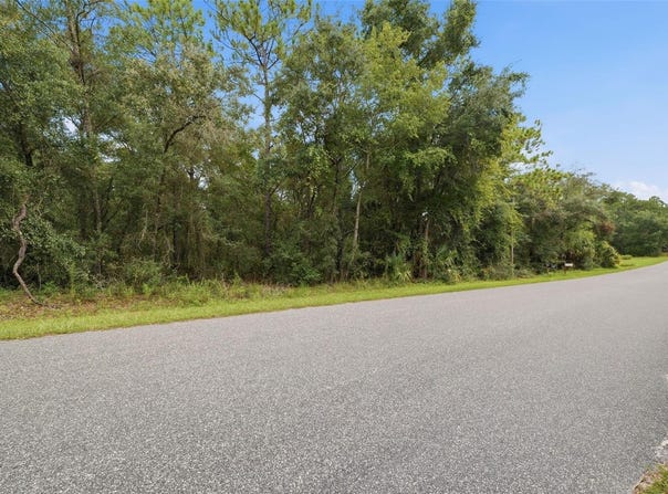 1295 E RAY Street, HERNANDO, FL 34442
