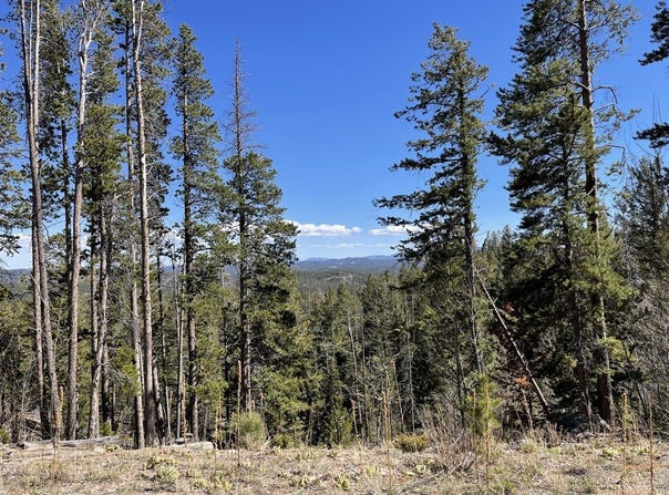 66 Piegan Ct, Red Feather Lakes, CO 80545
