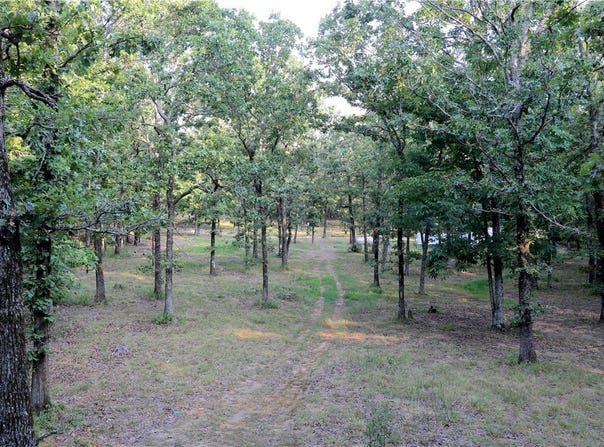108 Madison 6486, Elkins, AR 72727