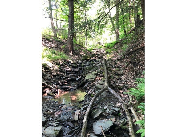Dingman Hill Road, Bainbridge, NY 13733