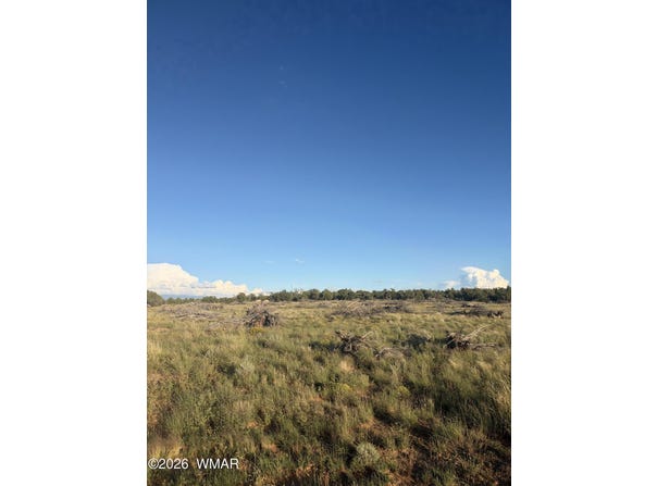 3893 Trebil Boulevard, Snowflake, AZ 85937