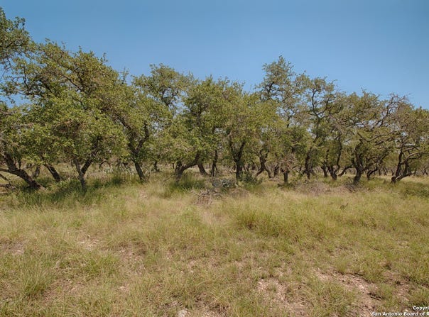 379 Bent Tree, Harper, TX 78631