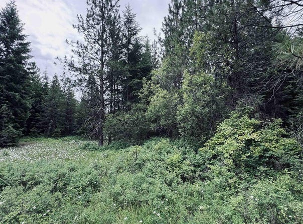58 Bugling Elk Lane, Weippe, ID 83553