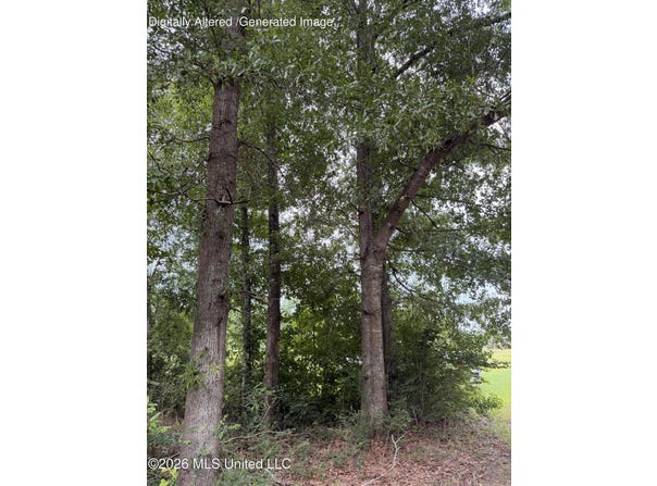 Cedar Ridge lot: 3, McComb, MS 39648