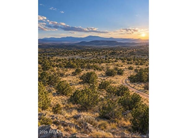 N Relax Road, Seligman, AZ 86337