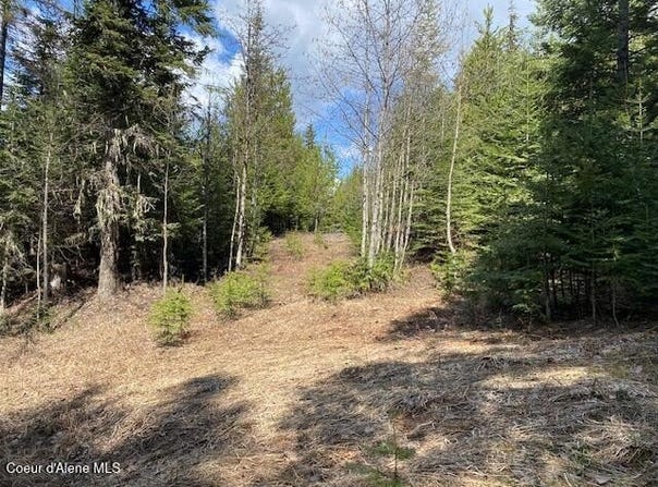 NNA Upper Gold Crk Rd, Sandpoint, ID 83864