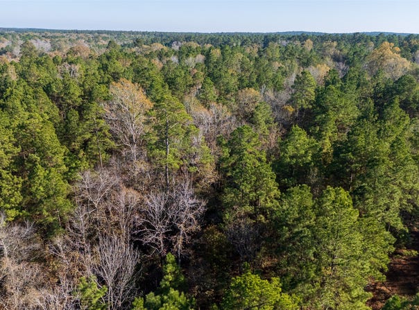 County Road 1135, Kennard, TX 75835