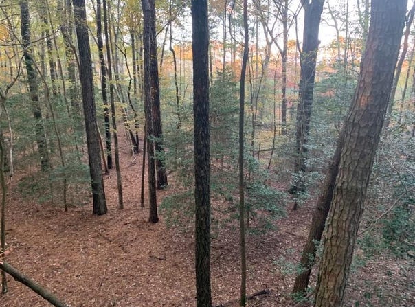 11.770 DAUGHERTY RD, ONANCOCK, VA 23417