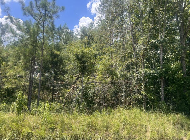Gilchrist Road, Edgefield, SC 29824