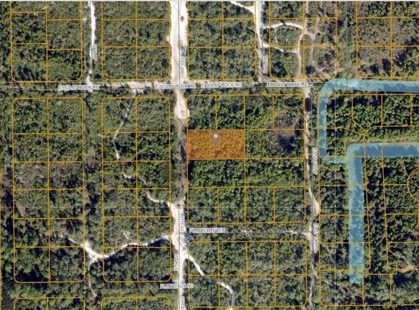 HOLLYHOCK E, DELAND, FL 32724