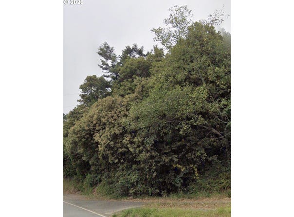 HILLSIDE ACRES Rd, GoldBeach, OR 97444
