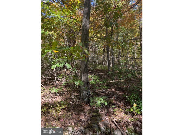 FOX Trail, WINCHESTER, VA 22602