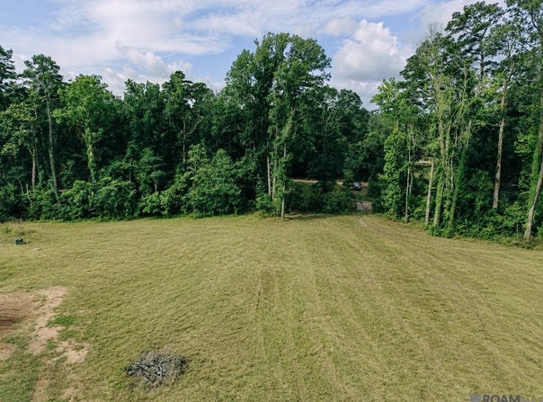 8637 Wildwood Dr, Denham Springs, LA 70706