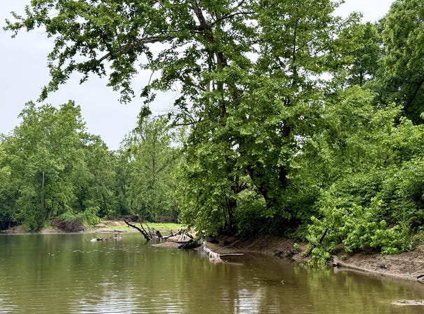 Sand Shoals Road, Houston, MO 65483