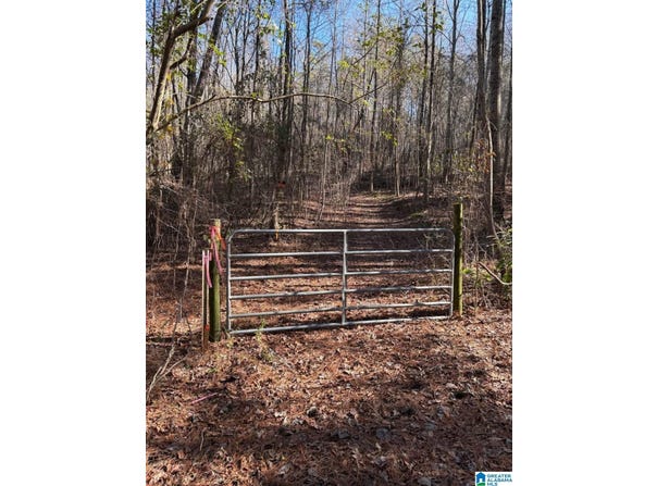 821 SUNSHINE AVENUE lot: 0, ONEONTA, AL 35121