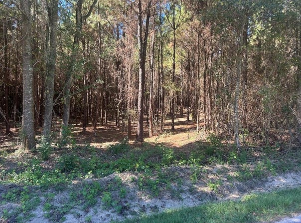 Pine DR., LAUREL, MS 39443