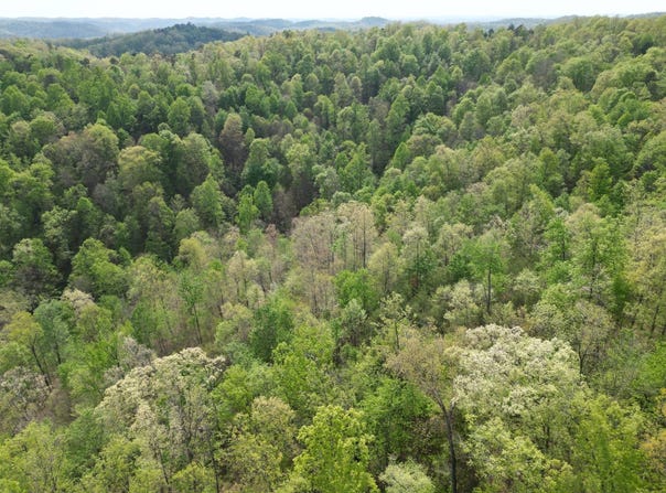 000 Sugar Camp Road, Big Bend, WV 26136