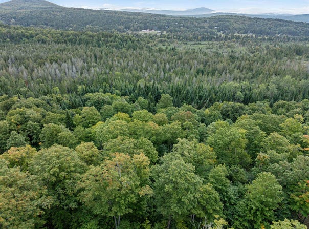 Wood Yard Crossing lot: 7, Pittsburg, NH 03592