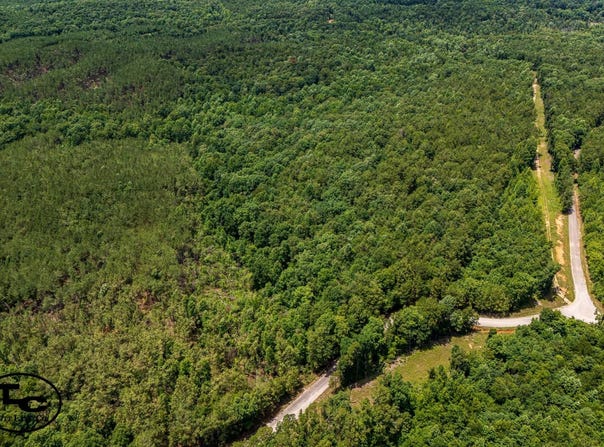 6800 Wolf Pen Rd, Pocahontas, TN 38061