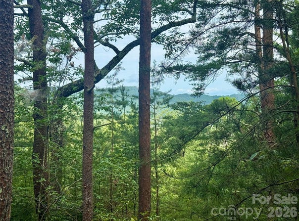 V/L Tahawus Drive, Bostic, NC 28018