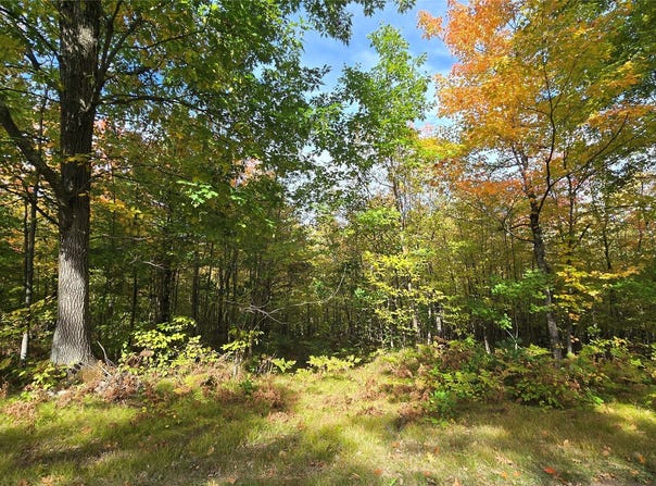 Woodcrest Drive lot: 30, Cable, WI 54821