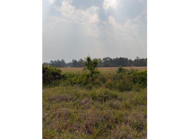 Moore Road Tract 14, Naylor, GA 31641
