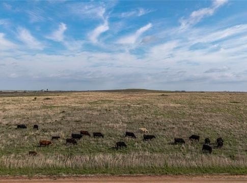 0004 E 4500 Road, Pawnee, OK 73061