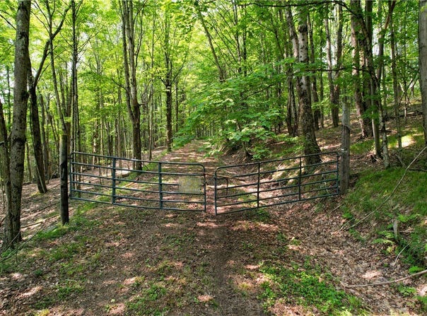 Red Kill Road, Fleischmanns, NY 12430