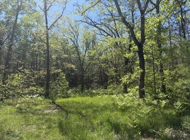 Parcel C USFS 5196, Baldwin, MI 49304