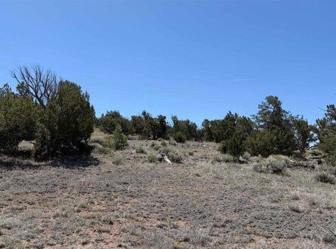 Pima Drive, Quemado, NM 87829