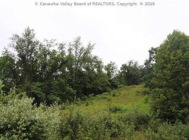 Dairy Road, Poca, WV 25159