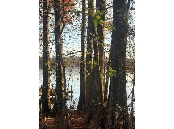 Atkins, AR 72823