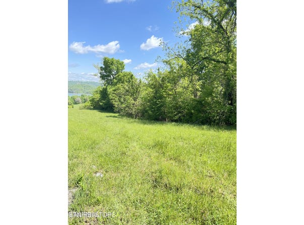 Bob Wright Rd Lot 17, Maynardville, TN 37807