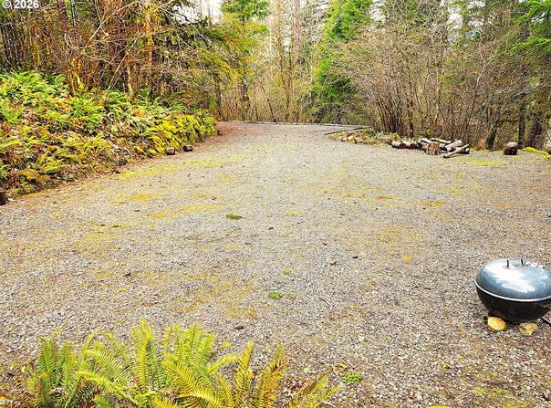 E King Rd, McKenzieBridge, OR 97413