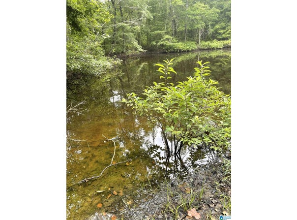 #1 HIGHWAY 55 lot: 1, STERRETT, AL 35147
