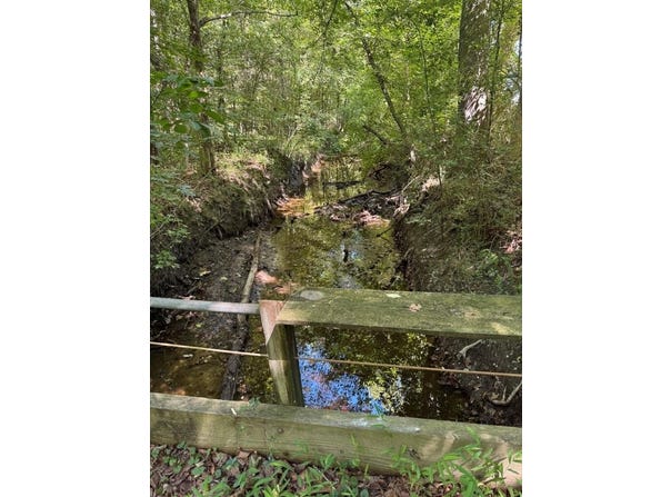 Rawlsdale Rd, Courtland, VA 23837
